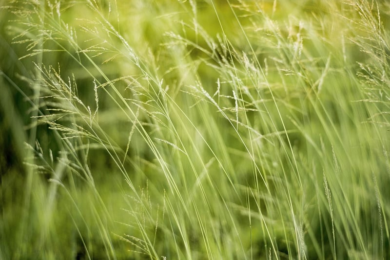 Eco-conscious Solutions